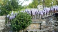 Vonkajšia záhrada v ubytovaní Agriturismo Countryhouse Le Giare