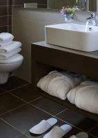 A bathroom at Pilion Terra Hotel