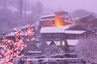 Aparthotel Areu during the winter