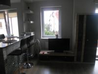 Kuchyň nebo kuchyňský kout v ubytování Apartament-Studio