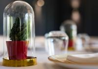 un cactus in una cupola di vetro su un tavolo di Hotel Karia Princess a Bodrum City