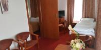 Televízia a/alebo spoločenská miestnosť v ubytovaní Hotel Korona