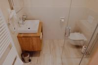 a bathroom with a sink and a toilet at Winzerhaus am Gamlitzberg in Gamlitz