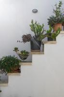 A garden outside La Torre Antica Dimora