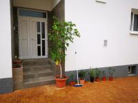 Zahrada ubytování Apartmány za sakurou