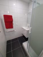 a bathroom with a red towel on a window and a sink at CHARMANT PETIT F1 in Tain-lʼHermitage