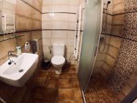 Koupelna v ubytování Interhotel America
