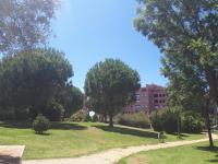 Zahrada ubytování Apartamento Playa Verde