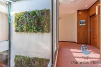 Hotel Norat Palmeira Playa (Ribeira) – oppdaterte priser for 2022