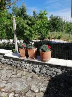 A garden outside Bed and Breakfast "POGGIO MARANO"