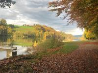 Charming Studio near Rotsee Lucerne Kitchen/WiFi/Wasching machine ...