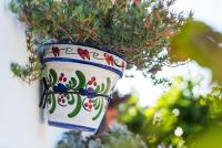 Vonkajšia záhrada v ubytovaní Finca Las Palmeras, Alhaurín el Grande