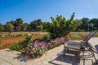 A garden outside Casa Cristina Ibiza