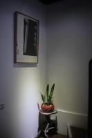 a plant on a table in a room with a mirror at Liu House in Jiufen