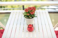 Balkón alebo terasa v ubytovaní NEW! Bright & Remodeled 1Bed apt 2min Walk to Acropolis