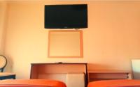 TV a/nebo společenská místnost v ubytování Hotel Victoria