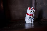 宿泊客と一緒にClassic Japan Living Kawamurayaに滞在中のペット