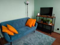 Televízia a/alebo spoločenská miestnosť v ubytovaní Apartament Santo Bartolomeo