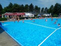 a group of people swimming in a swimming pool at Guest House Stara Baranja in Kneževi Vinogradi