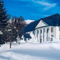 白馬村にあるSummer Leavesの雪の白い家
