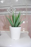 Plan piętra w obiekcie Nice and New Studio very close to the city center 2ºA