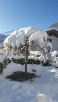 Alpenappartement Sonne v zime