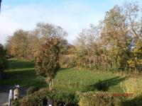a garden with a tree in the middle of a field at Les Galets in Tracy-sur-Mer