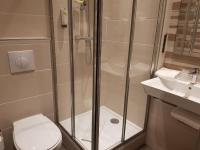a bathroom with a shower and a toilet and a sink at Logis Hôtel A la Bonne Auberge in Laval