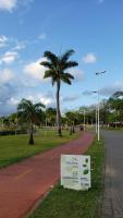 a sign in the grass next to a street with a palm tree at JR Hotel in João Pessoa