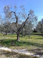Príroda v okolí farmy