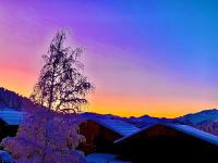 a winter sunset with a tree in the foreground at APPARTEMENT PLEIN SUD AUX SAISIES N°6 in Les Saisies