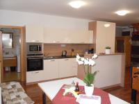 Kuchyň nebo kuchyňský kout v ubytování Apartment WELLNESS Vlčková