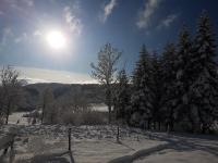 un champ enneigé avec des arbres et le soleil dans le ciel dans l&#39;établissement Natura Plitvice Lakes, aux lacs de Plitvice