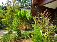 Zahrada ubytování The Krabi Forest Homestay