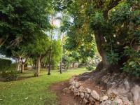 A garden outside Apartment Atria-2 by Interhome