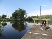 a dog sitting on a dock on a lake at Chambres d&#39;Hôtes L’Échappée Belle in Saint-Brisson-sur-Loire