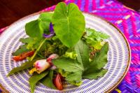 Jídlo v penzionu – hostince nebo okolí