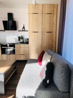 Kuchyňa alebo kuchynka v ubytovaní Szczyrk-Art Apartments