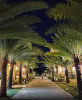 Zahrada ubytování San Remo Oasis SRP View Wifi Netflix