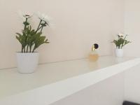 two white vases with flowers on a white shelf at Studio 2 pers en vieille ville parking gratuit - by La Source d&#39;OrFée in Boulogne-sur-Mer