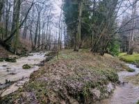 Príroda v okolí apartmánu