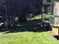 Ein Vogel steht im Gras neben einem Gebäude in der Unterkunft The River Cottage in Pigeon Forge