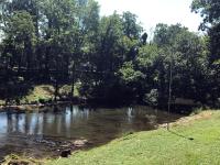 einen Fluss mit Bäumen an der Seite in der Unterkunft The River Cottage in Pigeon Forge