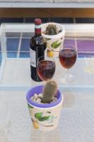 Nápoje v ubytovaní Terrazza Politeama