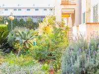 A garden outside Voramar 2g
