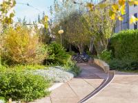A garden outside Voramar 2g