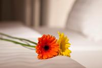 Postel nebo postele na pokoji v ubytování Dahlia Inn