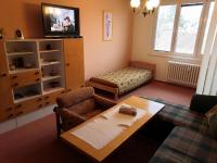 TV a/nebo společenská místnost v ubytování Apartmán ČSA Františkovy Lázně