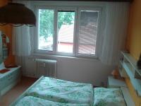 Postel nebo postele na pokoji v ubytování Apartmán ČSA Františkovy Lázně