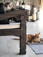 宿泊客と一緒にVilla Kelapa Langkawiに滞在中のペット